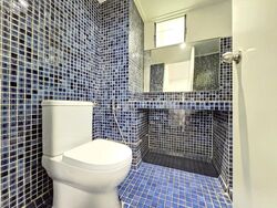 Dunearn Road (D11), Condominium #612757641